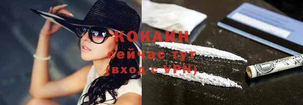 дживик Балахна