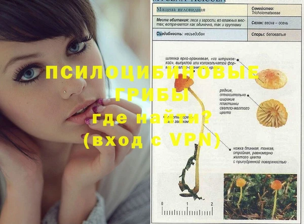 бошки Семикаракорск
