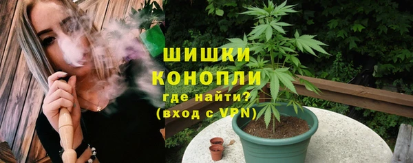 дживик Балахна